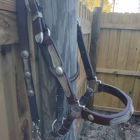 Vintage Leather Horse Show Halter with Matching Lead - Picture 2 of 13
